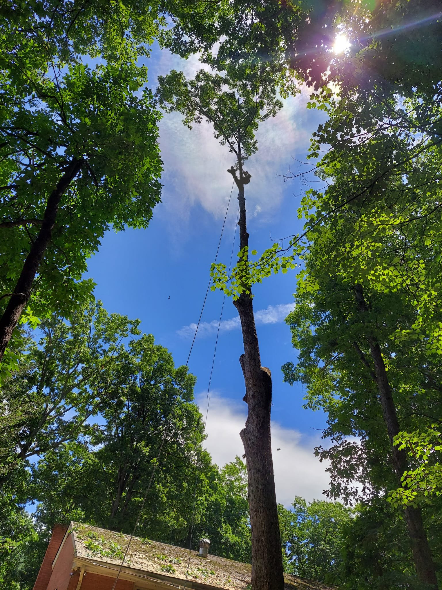 Vazquez Landscaping (34)