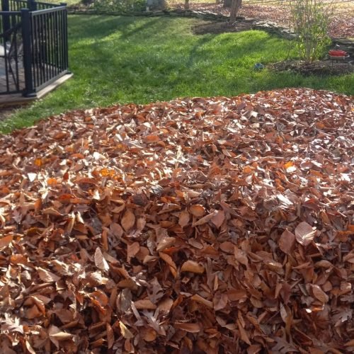 Vazquez Landscaping (30)
