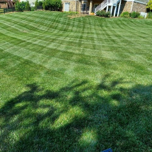 Vazquez Landscaping (36)