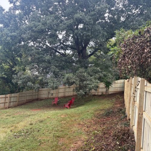 Vazquez Landscaping (93)